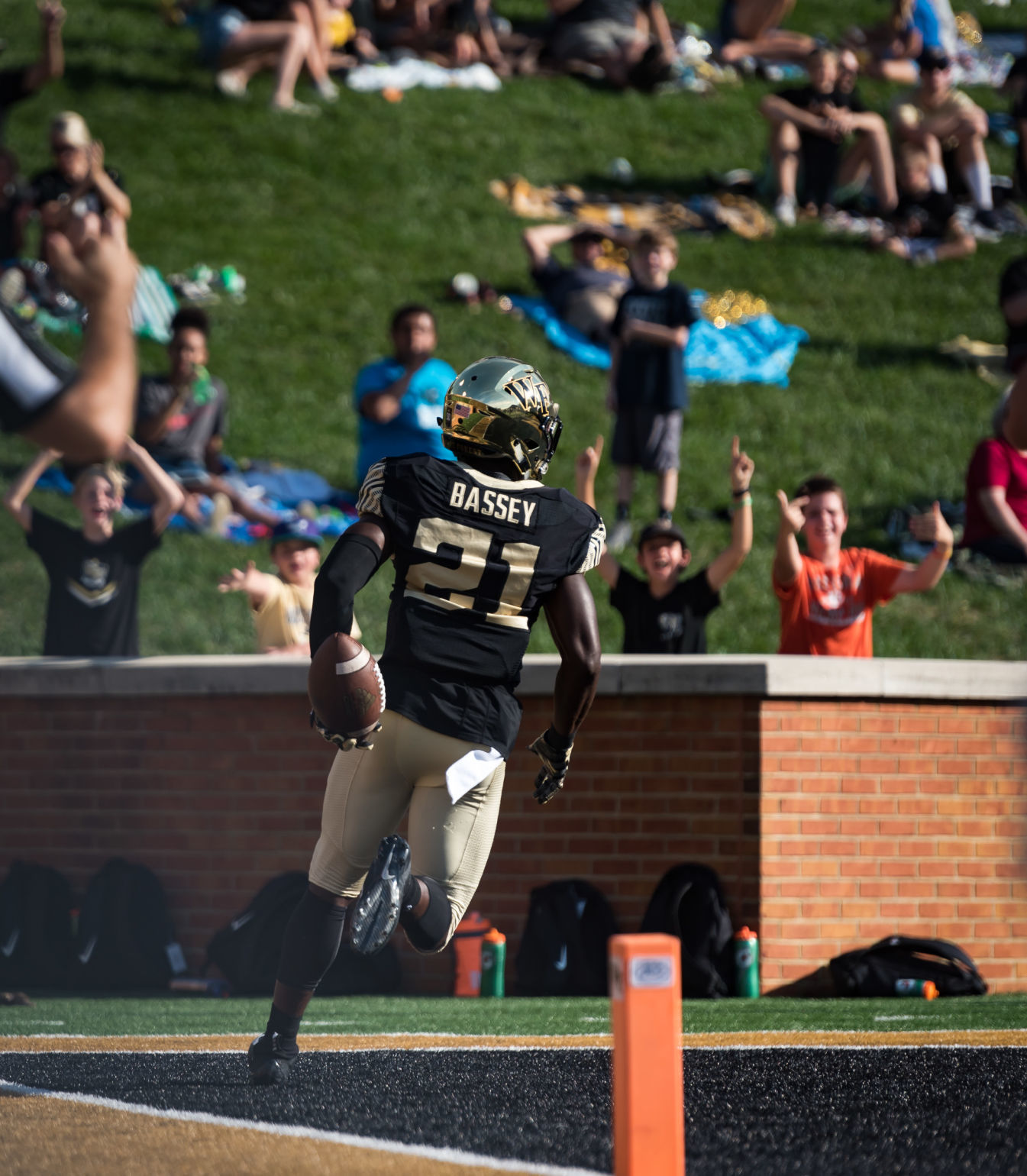 Wake Forest Rice Football (copy)